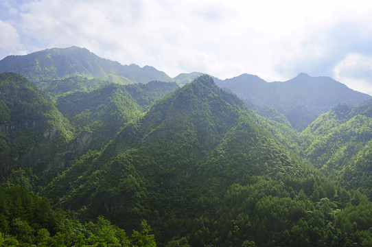 山巒起伏青青