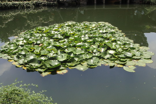 園林