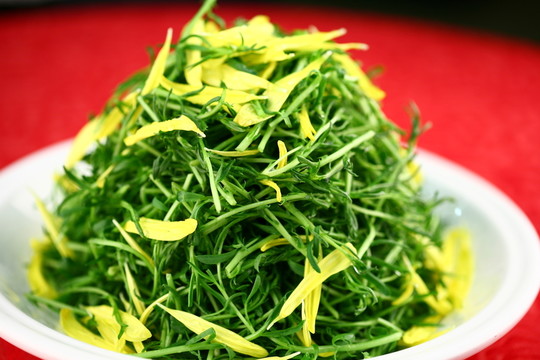 菊花神仙草
