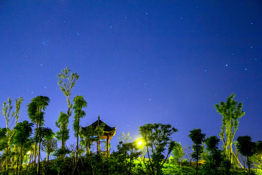 公園夜景