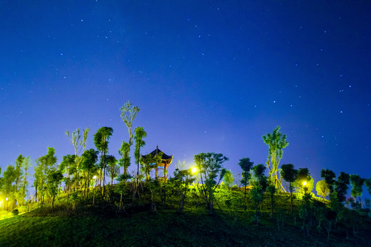 公園夜景