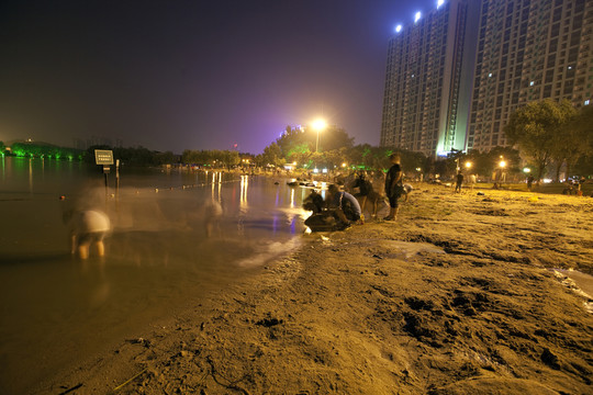 公園 夜景
