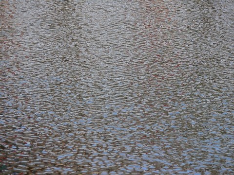 水波紋