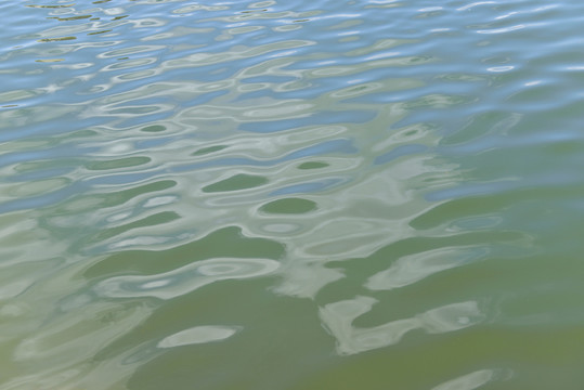 水波