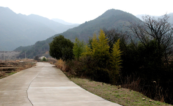 山間公路