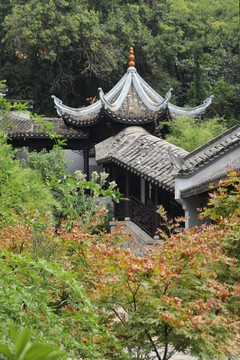 湖南大學(xué)