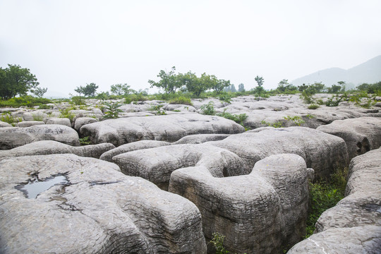 石頭 石林