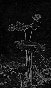 設(shè)計(jì)素材 荷花