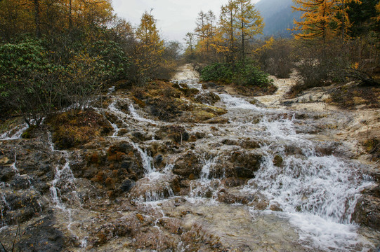 四川黃龍風(fēng)光