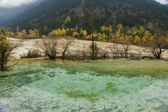 四川黃龍風(fēng)景