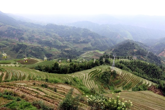 龍脊梯田