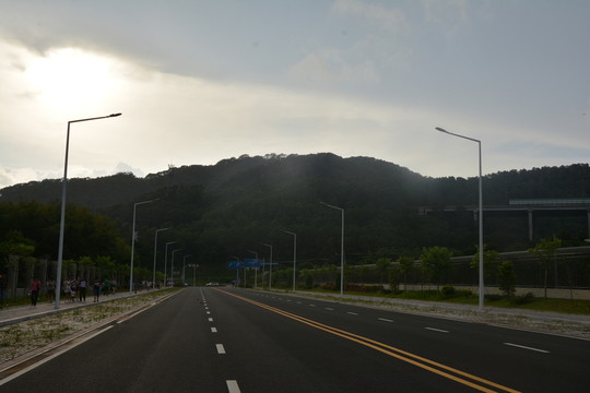 道路
