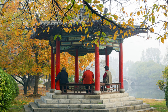 公園亭子