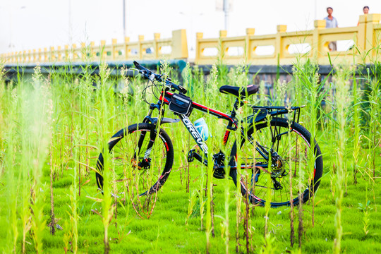 山地車