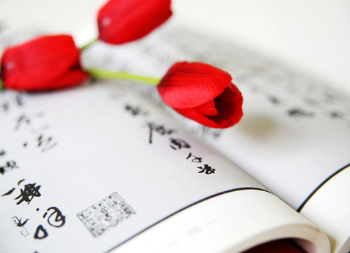 打開的書和玫瑰花