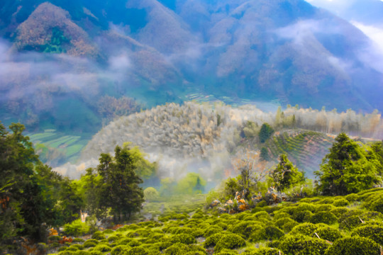 清晨高山薄霧