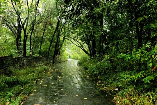 虞山公園風光