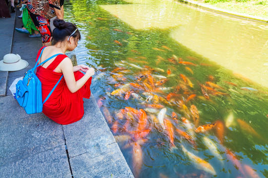 公園池塘喂魚