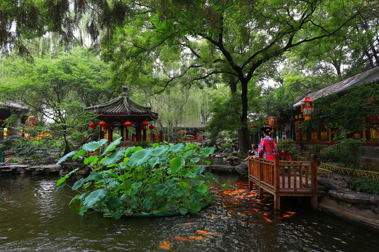 白家大院