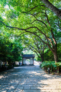 園林公園