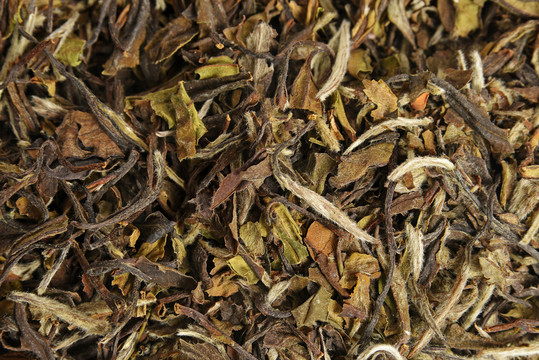 白牡丹茶葉特寫(xiě) 白茶