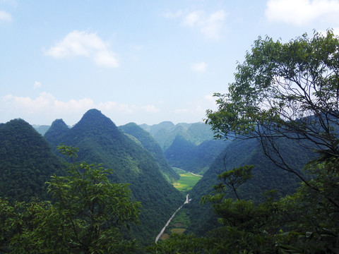 貴州茂蘭國家級自然保護區(qū)