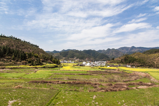田園風(fēng)光