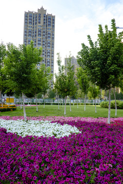 城市綠化