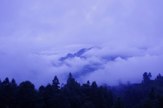 云海