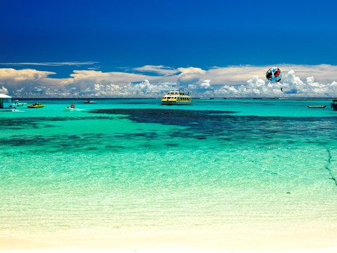 夏日海濱