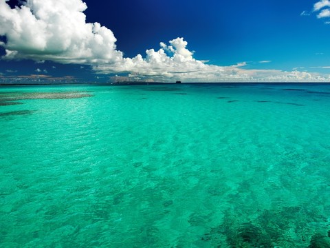 夏日海濱