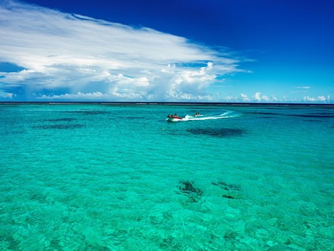 夏日海濱