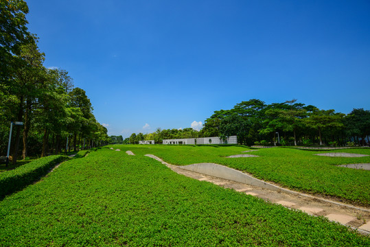 藍天綠地