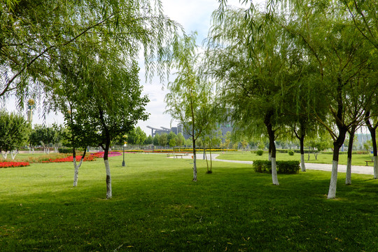 城市綠地