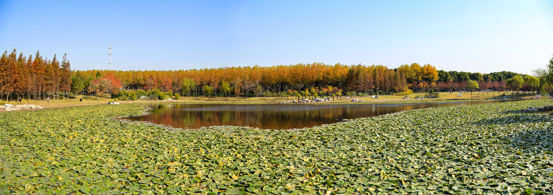 濕地 公園