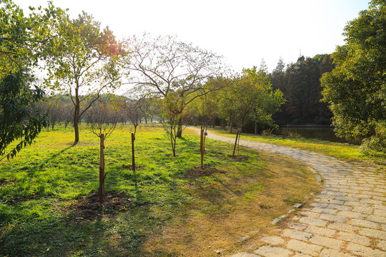 森林公園
