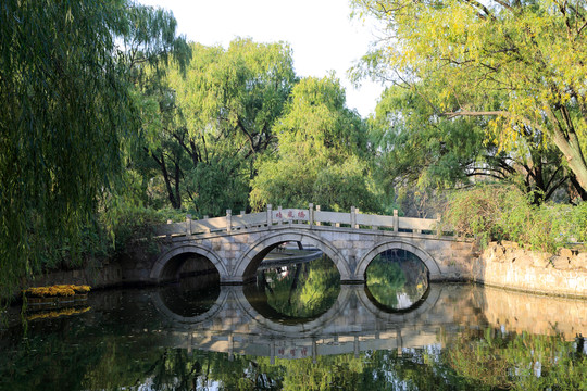 森林公園