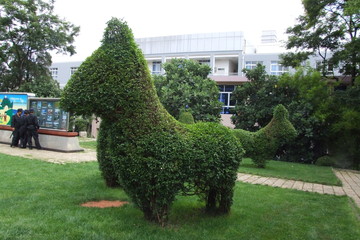 植株雕塑