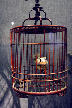 鳥(niǎo)籠