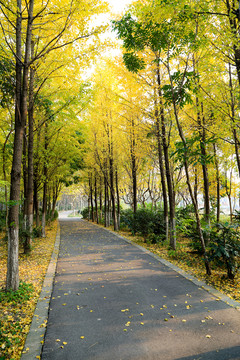 城市綠地