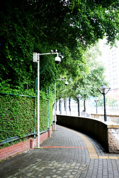 街道
