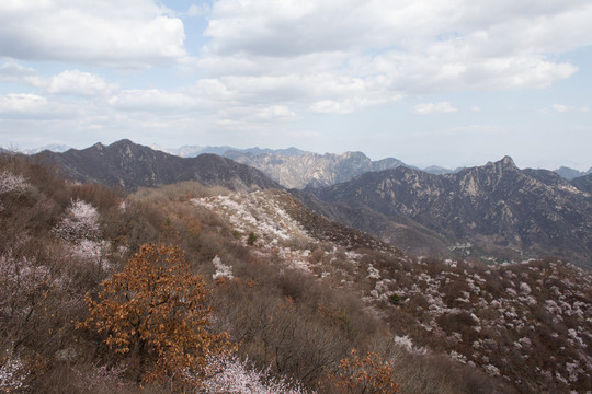 慕田峪風(fēng)光