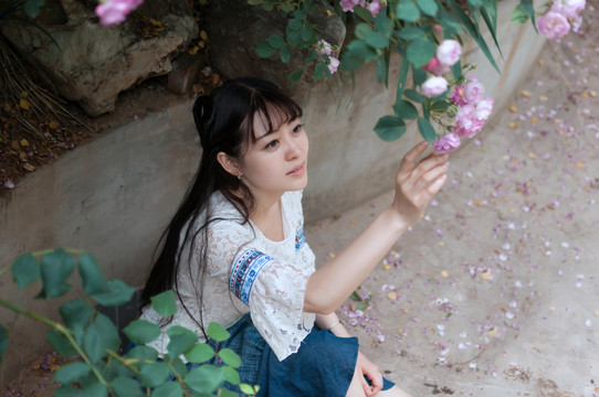 薔薇花下的少女