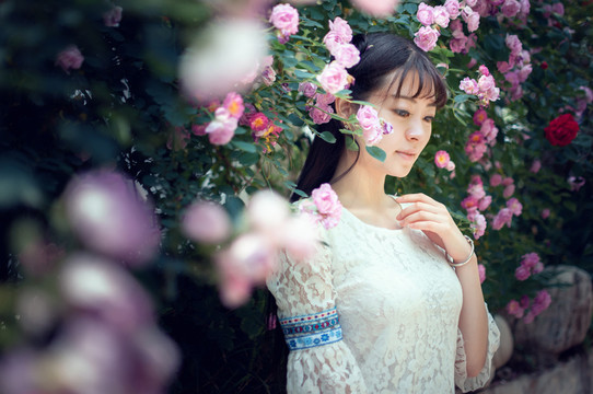 薔薇花下的女孩