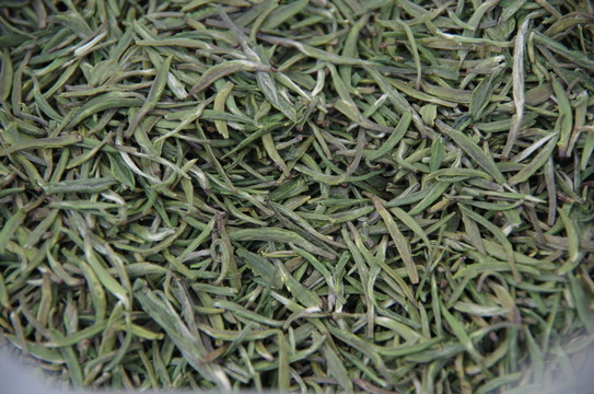 茶葉 毛尖