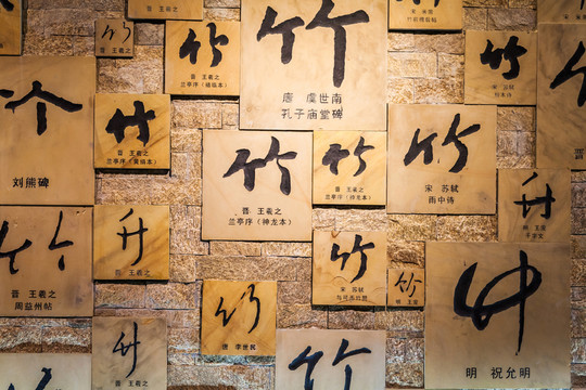竹海 文字背景