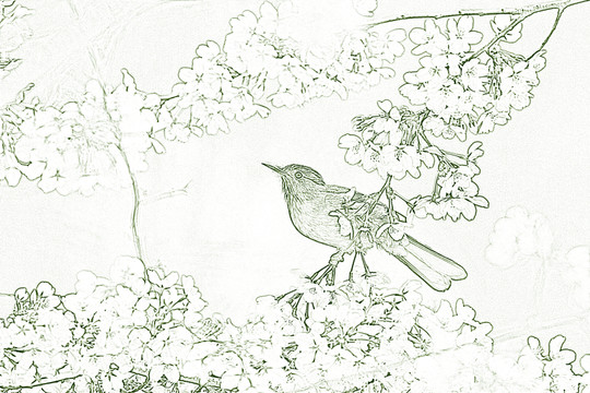 設計素材 花鳥背景