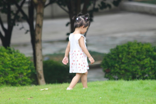 小蘿莉