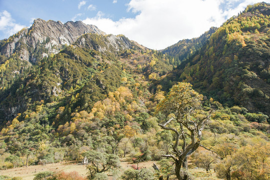 四川四姑娘山雙橋溝風(fēng)景