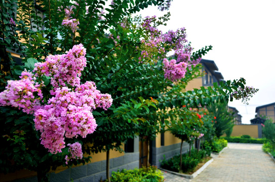 美麗鄉(xiāng)村 靈山小鎮(zhèn)